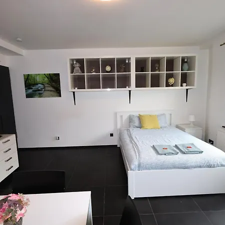 Apartment Near Train Station